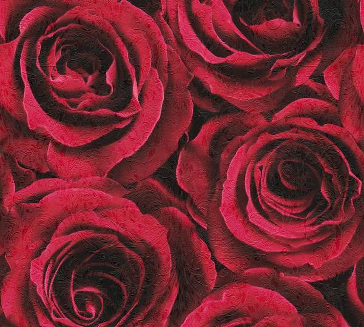 AS Creation 37004-2 Vliesbehang – Rode Rozen – Bloemen Behang – Stijlvolle Wandbekleding