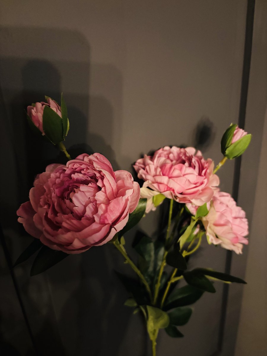 Pioenroos | Fuchsia | Roze | Peony | Decoratieve tak | Kunstbloem |Trendy | Woonaccessoires | Woonaccessoire | Boeket | Bloemen | Lente | Pasen | Woon | Wonen | Woninginrichting | Eyecatcher | Trendy | Trending | Accessoire | Woondecoratie