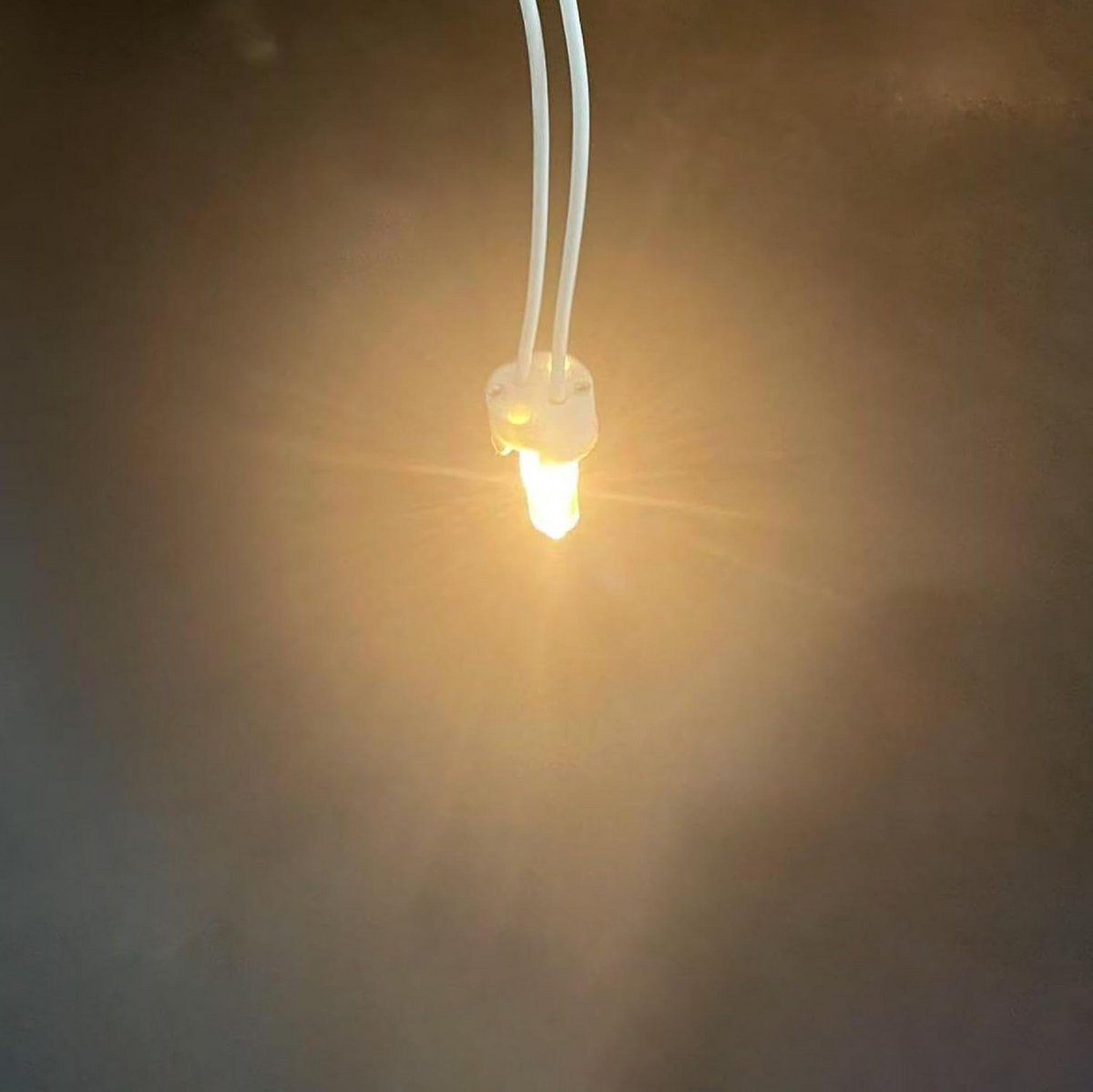 5 Stuks G4 Halogeenlampen 220V Dimbaar Warm Wit 10W en 20W
