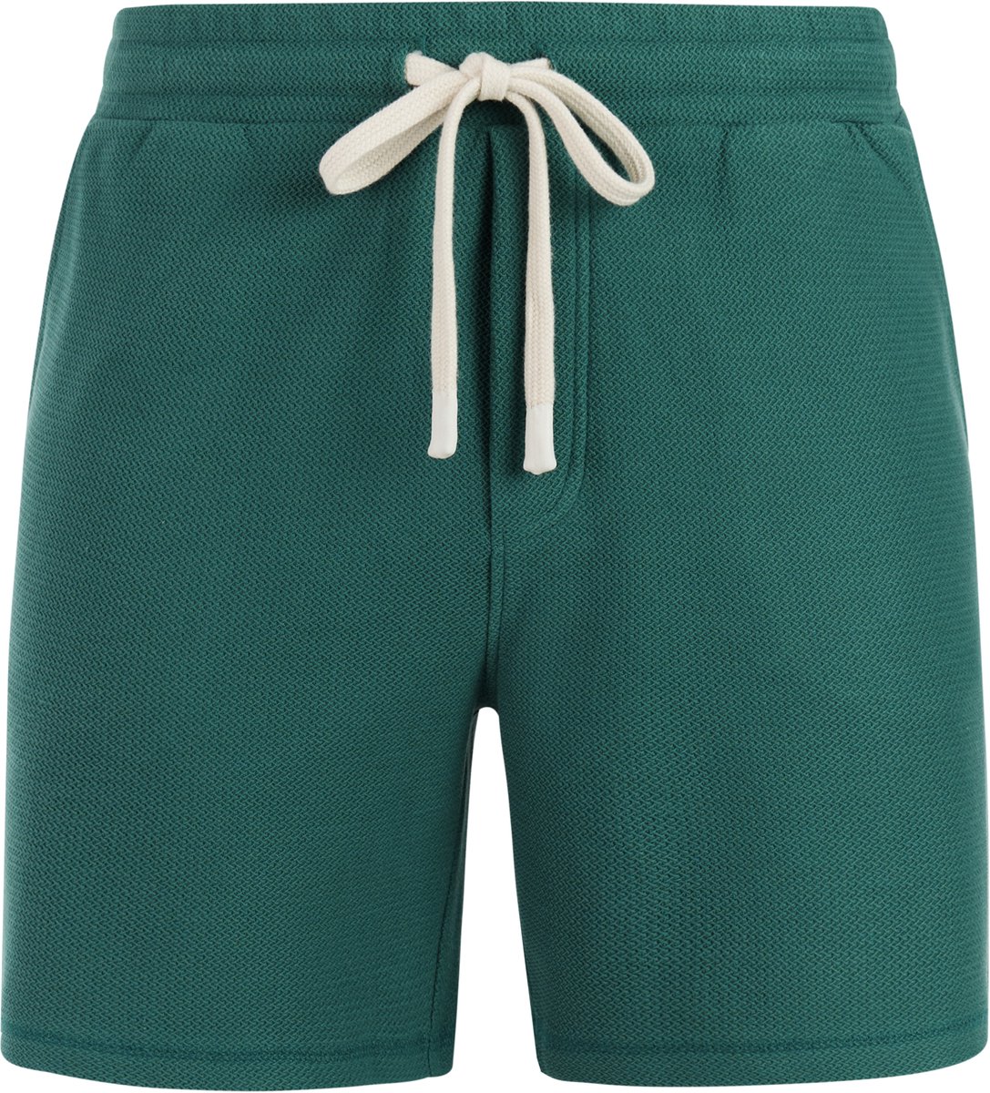 Protest Prtgraig – Korte broek Heren – Tailleband elastiek – Koordsluiting Turquoise