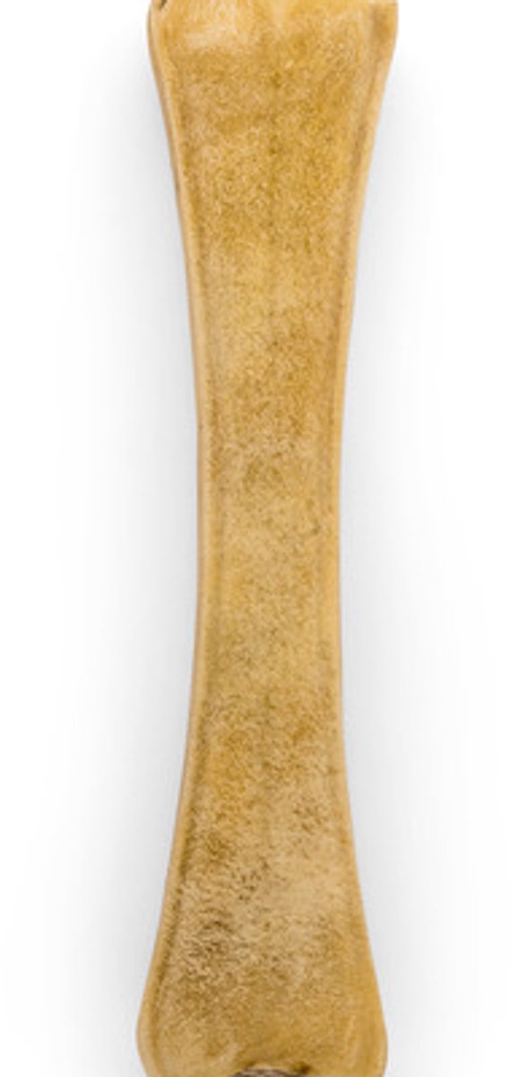 Landman Bot van runderhuid (1st) - 31cm - Hondensnacks - Kauwsnack - Hond