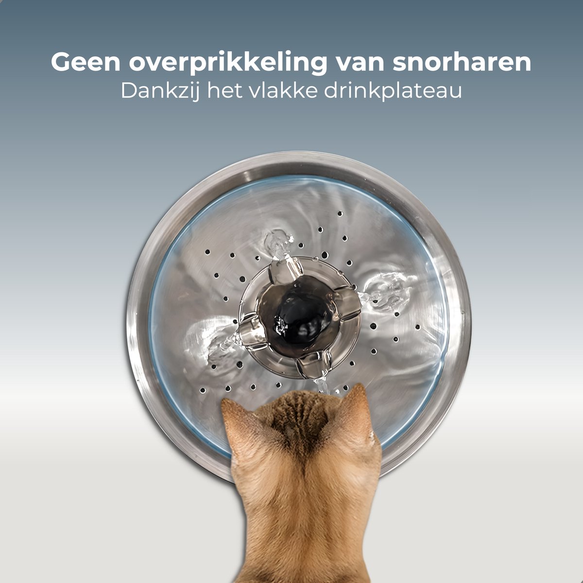 CatElite® - RVS Drinkfontein Kat | Mist - Waterdispenser incl. 3 filters - 2.5L Waterfontein Kat - Kattenfontein - Fluisterstil thumbnail 8