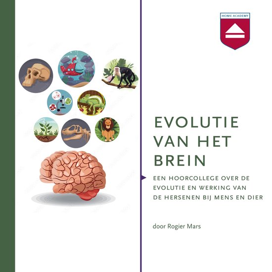Evolutie van het brein - cover