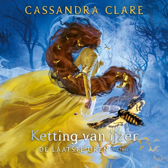 Ketting van ijzer - cover