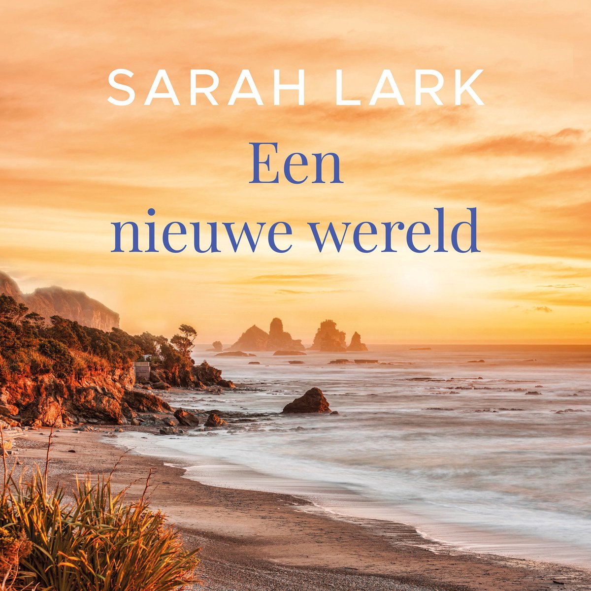 Omslag van Een nieuwe wereld