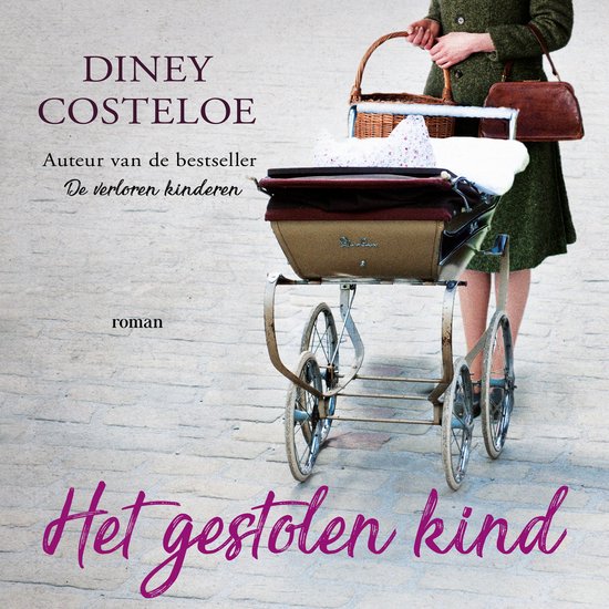 Het gestolen kind - cover