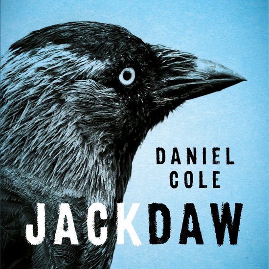 Jackdaw - cover