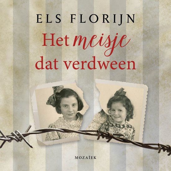 Het meisje dat verdween - cover