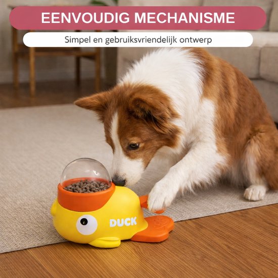Border collie snuffelt aan geel eend speelgoed. Vrouw en bank op achtergrond.