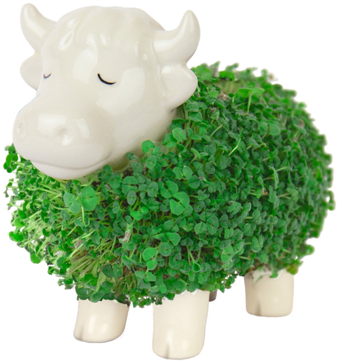 Gift Republic Plantenpot met chiazaden - Highland Cow