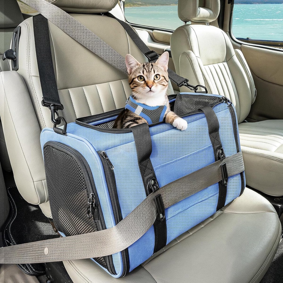 Opvouwbare Draagtas voor Kat en Hond - Transportbox met 4-zijdig Net en Afneembaar Kussen