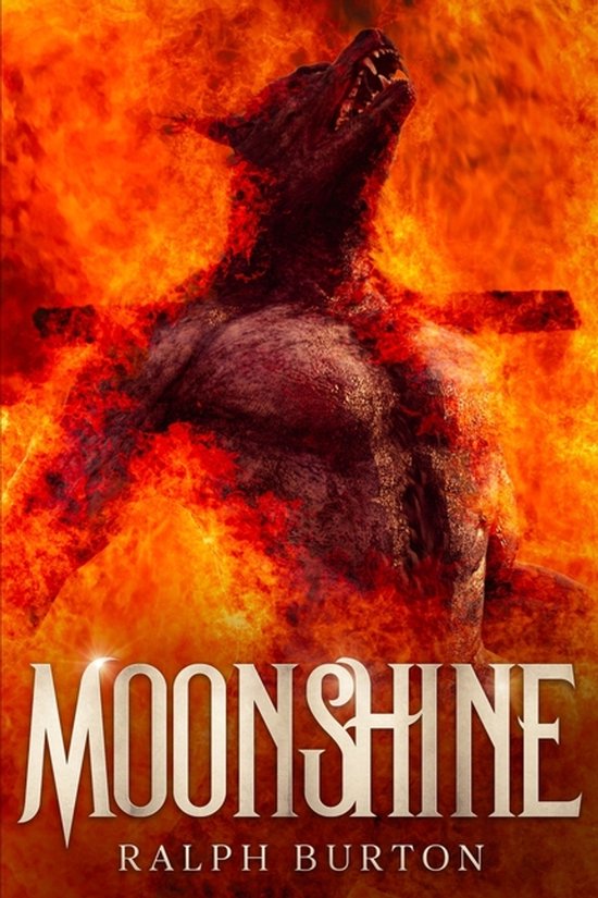 Moonshine - cover