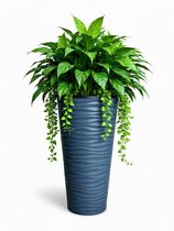 Hoge Bloempot 30x50 Cm – 2 Stuks – Kunststof Plantenbak Voor Binnen En Buiten – Modern & Stevig