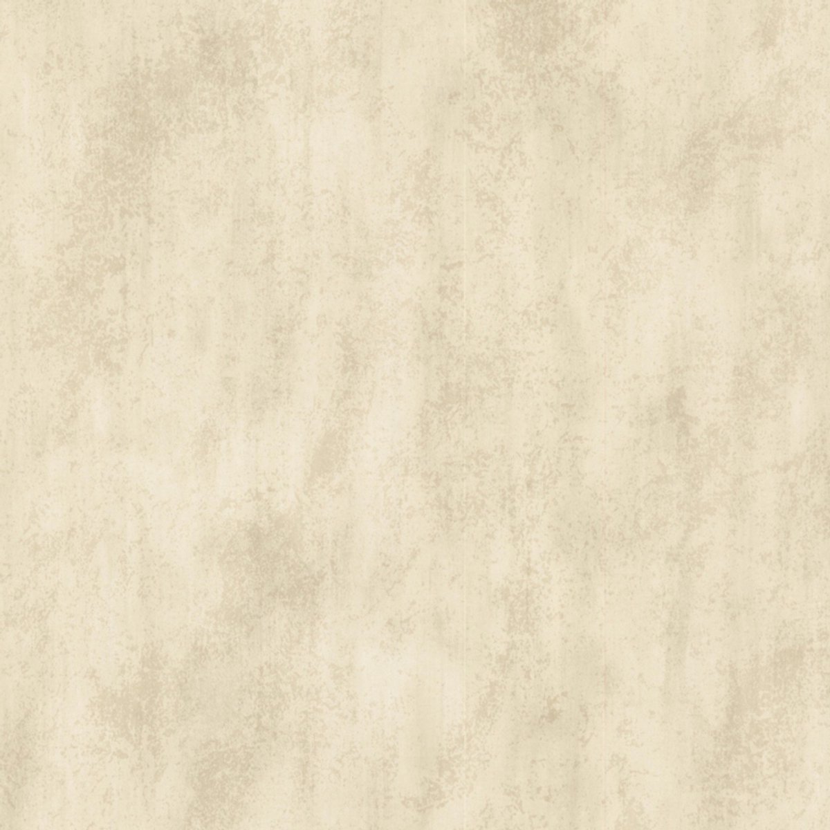 Beton behang vintage 020084