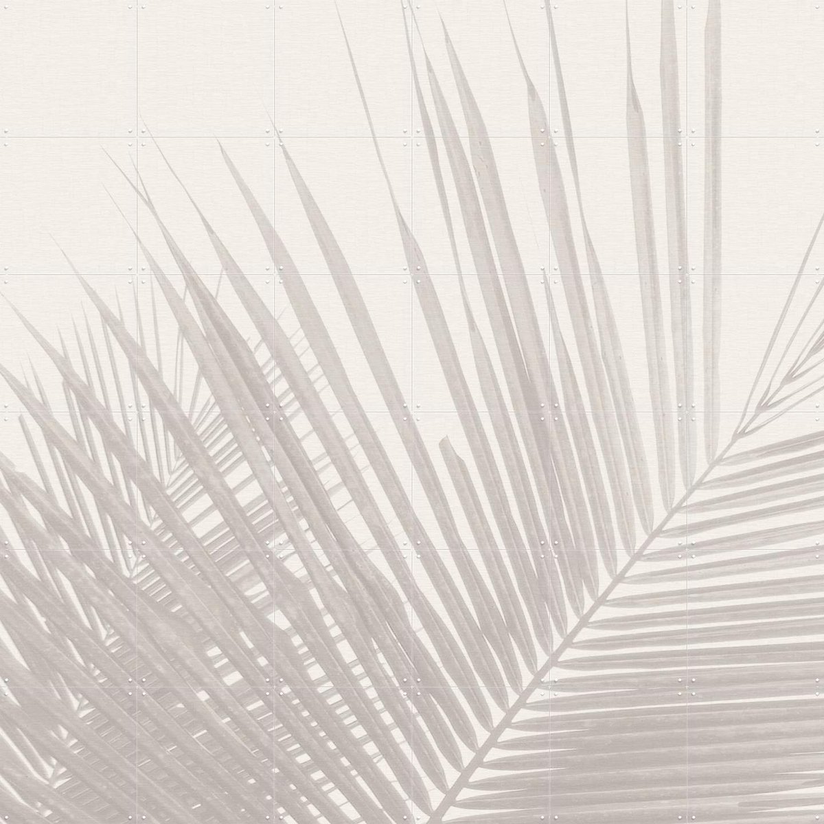 IXXI Neutral Tropical palm leaves, Bloomery Decor - 120 x 120 cm - Gratis ophangtool - Grote wanddecoratie en posters - Minimalisme, Fotografie