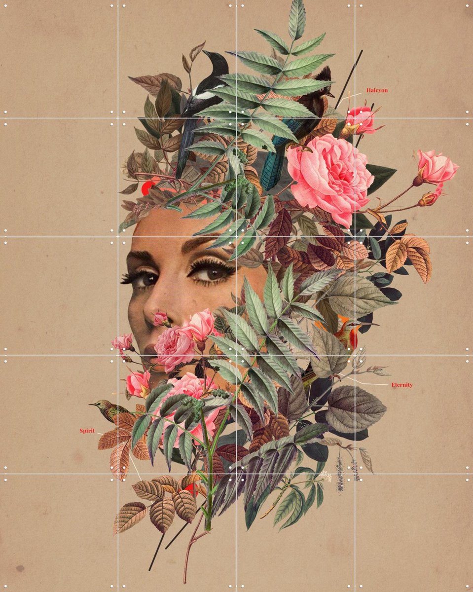 IXXI Halcyon Days, Frank Moth - 80 x 100 cm - Gratis ophangtool - Grote wanddecoratie en posters - Collage, Illustraties, Gemengde Technieken