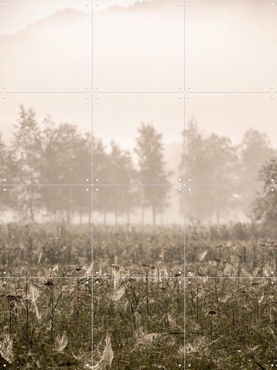 IXXI Foggy Morning, Mareike Böhmer - 60 x 80 cm - Gratis ophangtool - Grote wanddecoratie en posters - Fotografie, Landschappen, Natuur, Winter