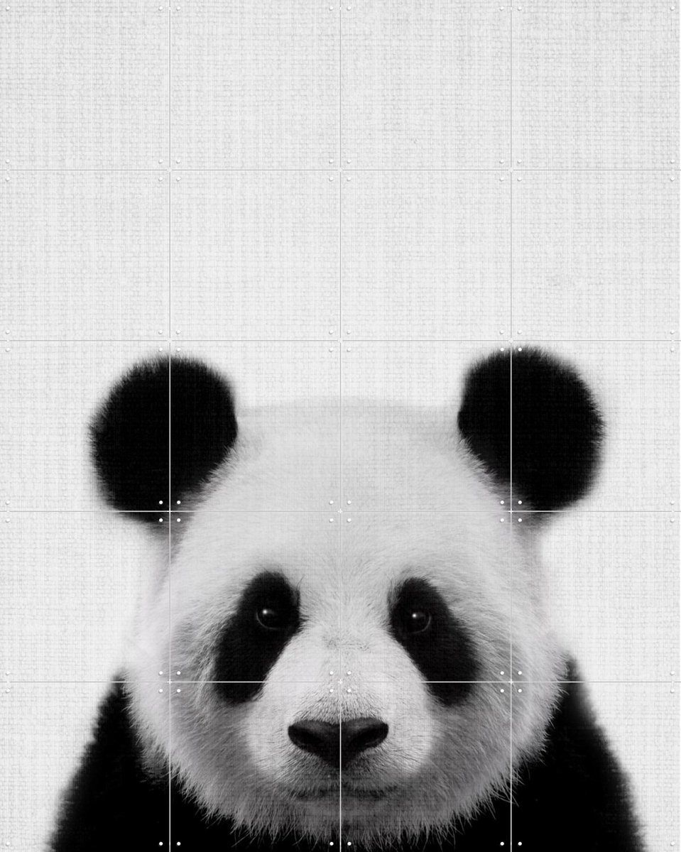 IXXI Print 61 Panda, Lila + Lola - 80 x 100 cm - Gratis ophangtool - Grote wanddecoratie en posters - Minimalisme, Fotografie, Babykamer, Woonkamer