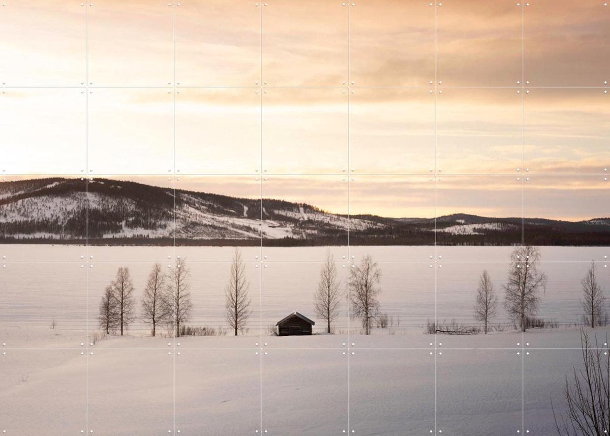 IXXI Frozen World, Claire Droppert - 140 x 100 cm - Gratis ophangtool - Grote wanddecoratie en posters - Realisme, Minimalisme, Naturalisme