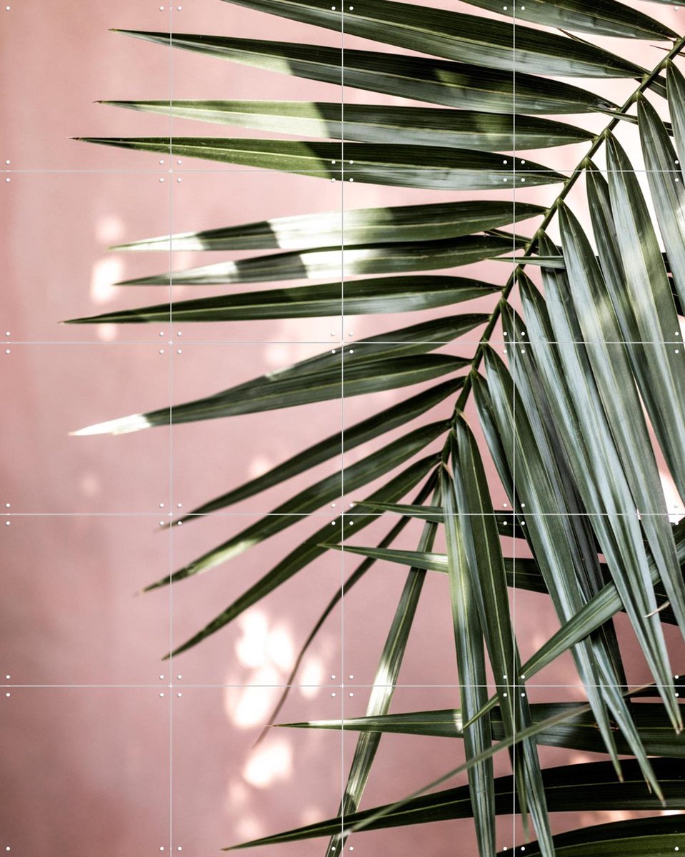 IXXI Palm Leaves 23, Mareike Böhmer - 80 x 100 cm - Gratis ophangtool - Grote wanddecoratie en posters - Fotografie, Woonkamer, Slaapkamer, Botanisch