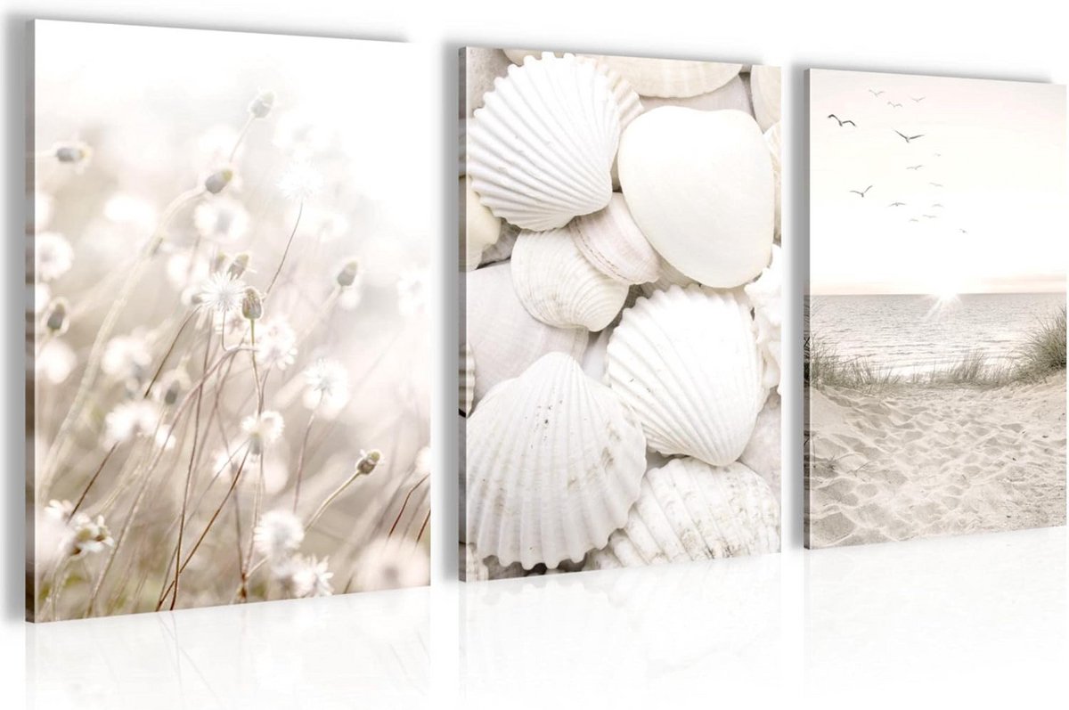 Set Schilderijen Schelpen Strand Zee - Klaar om Op te Hangen - Decoratie Woonkamer Slaapkamer
