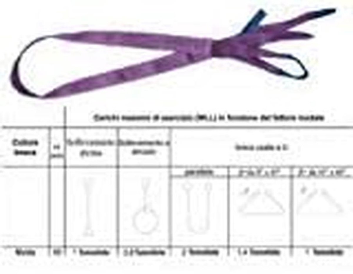 Hijslus Polyester 1000 kg - 3 Meter - Zware Hijsband voor Kraan en Takel