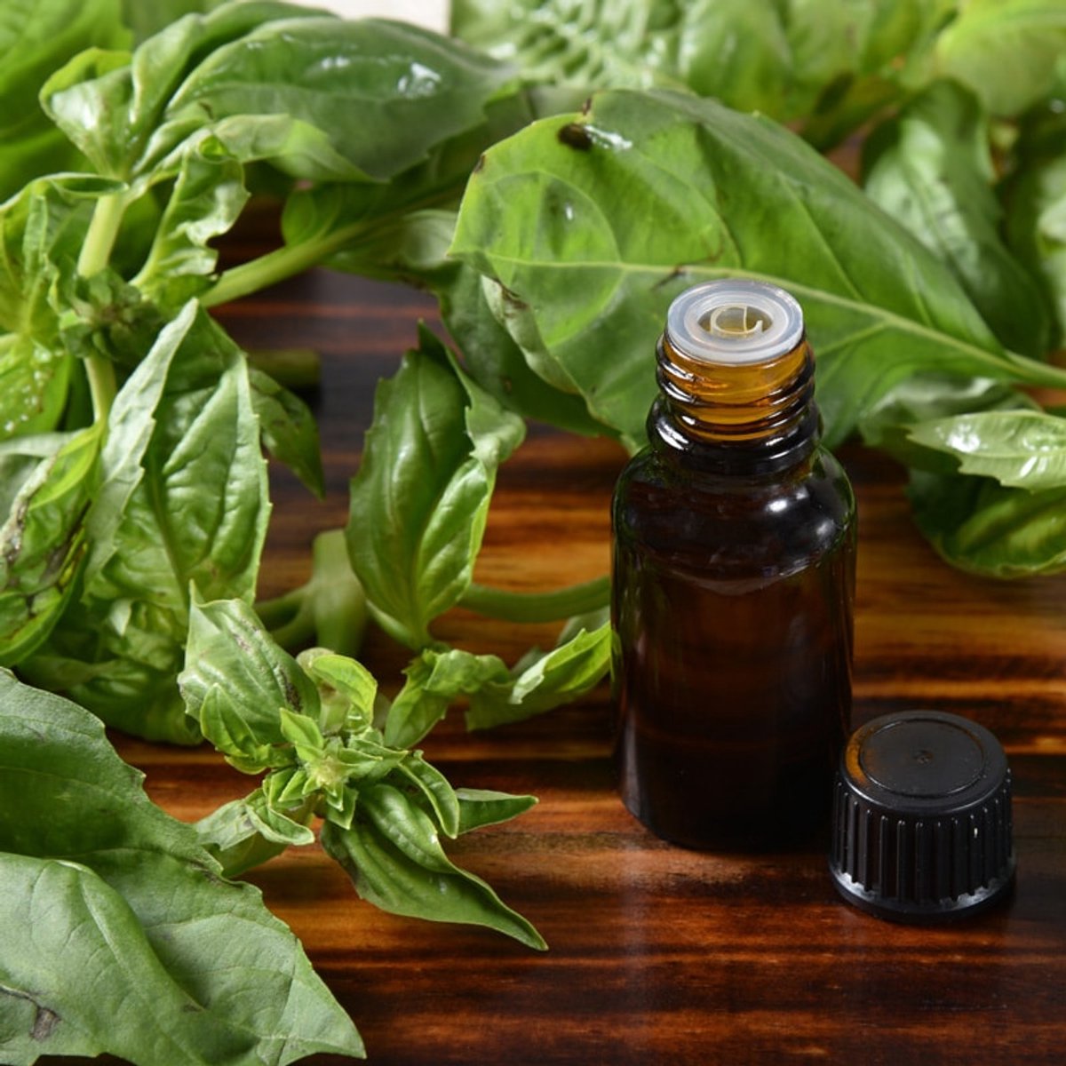 Basilicum Etherische Olie - 30 ml