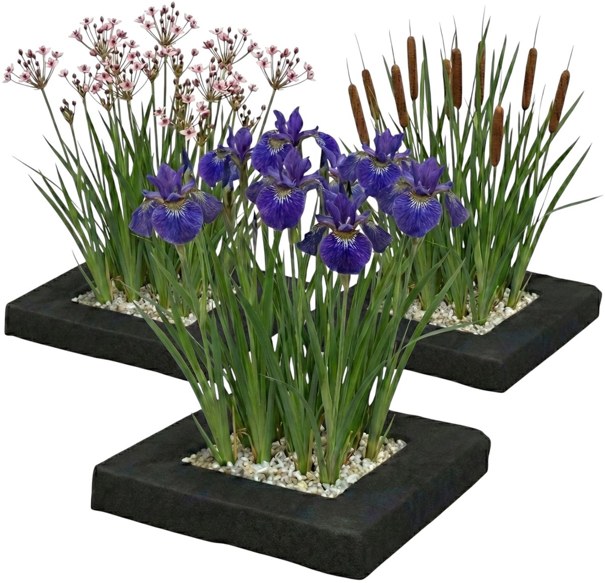 vdvelde.com - Vijver planteneiland set 3-delig - Compleetset met 12 waterplanten - Drijvende eilanden voor helder water en natuurlijke filtering - Winterhard en onderhoudsvriendelijk