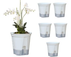 Orchideeën Potten - Zelfwaterend Plantenbak - Kamerplanten Verpotten - Wateropslag Systeem - 18 Cm Diameter - Helder