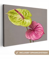 Canvas schilderij 120x80 cm - Exclusieve wanddecoratie Planten - Anthurium - Groen - Roze - Muurdecoratie woonkamer - Slaapkamer decoratie - Kamer accessoires - Schilderijen op canvas