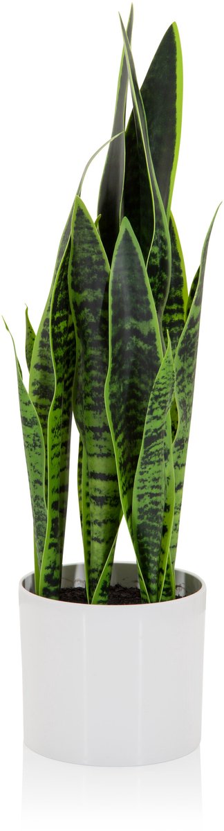 hjh office Kunstplant / Kunstboom SANSEVIERIA groen hjh OFFICE