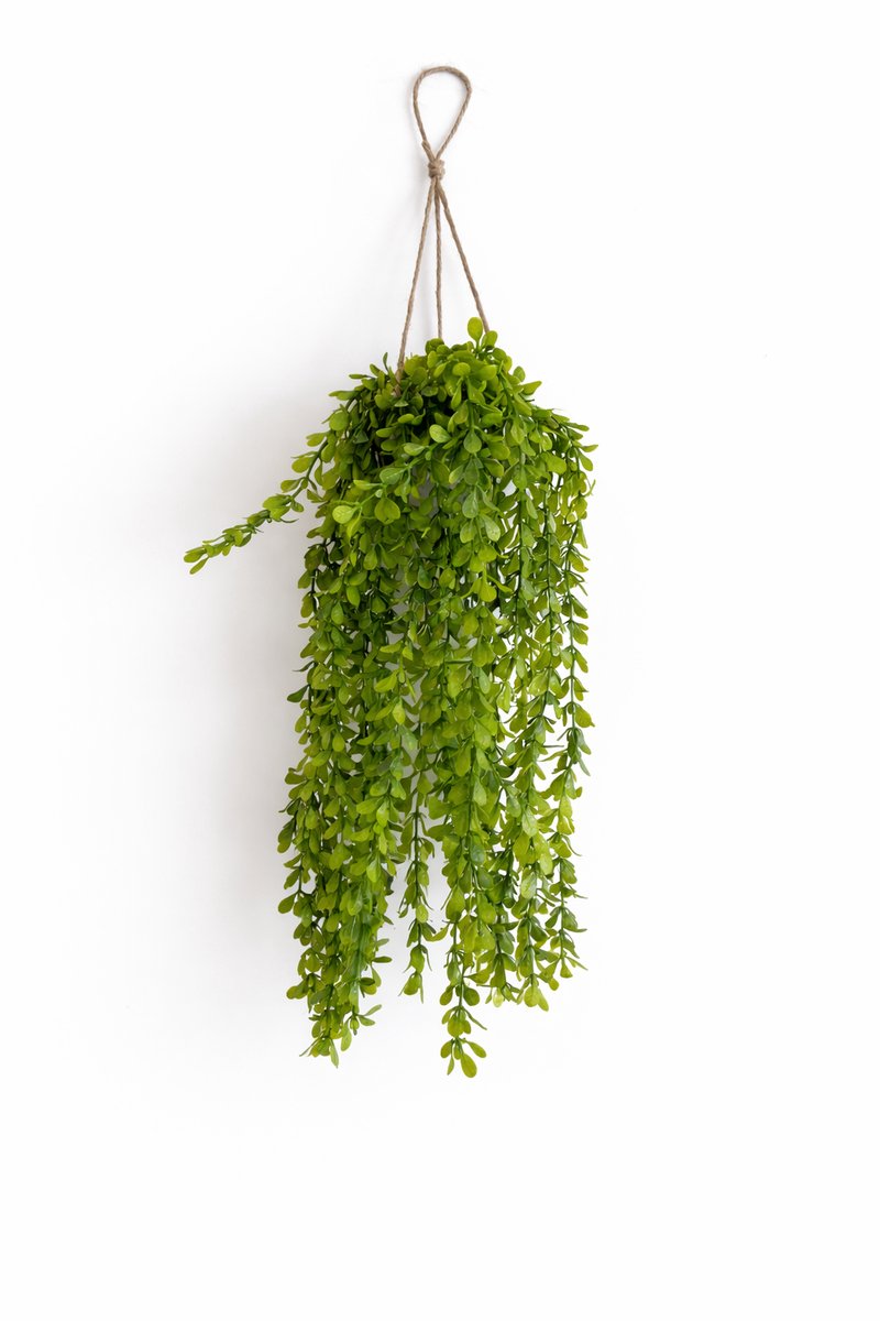 HEM Kunst Hangplant Wilg 66 cm - Kunstplant Hangend - Groen - Onderhoudsvrij - Inclusief Pot - Kunstplant Binnen Decoratie