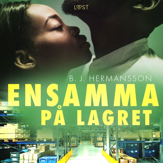 Ensamma på lagret - erotisk novell - cover