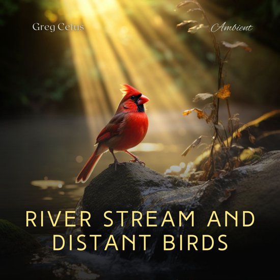 River Stream and Distant Birds - cover