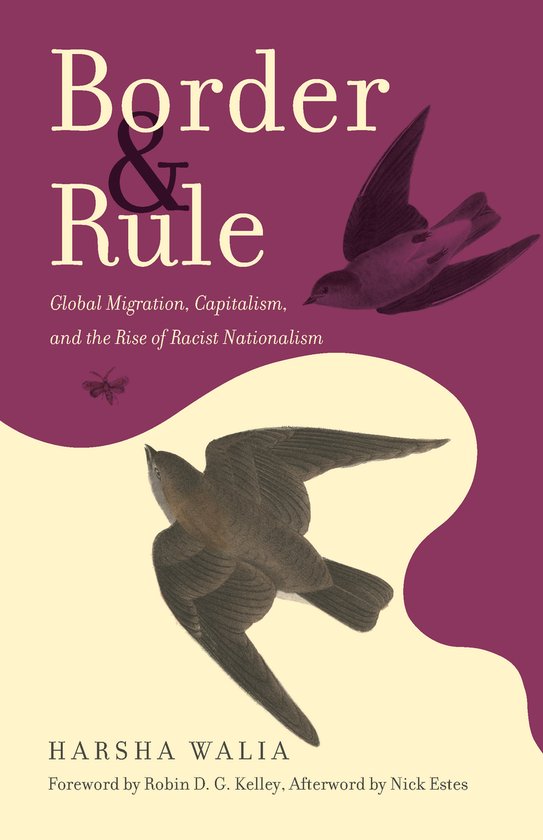 Livre 'Border & Rule' avec deux oiseaux en vol et un insecte sur fond violet et crème. Le titre 'Border & Rule' est en haut.