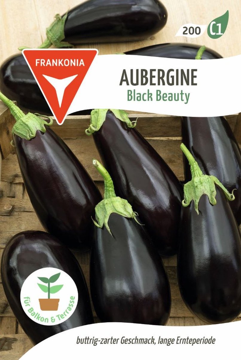 Aubergine, Black Beauty - Groentezaden