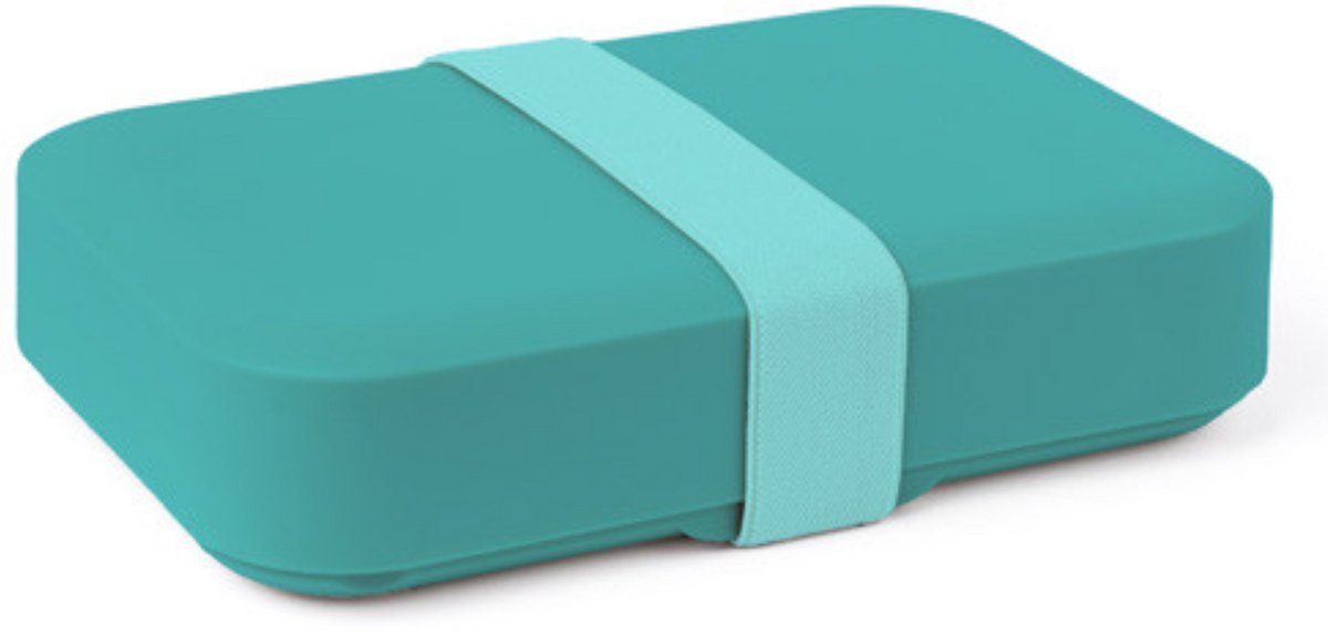 Day To Day Lunchbox Reef Large - 1100ml - Brooddoos met Elastiek - In Hoogte Verstelbare Broodtrommel - BPA-vrije Lunchtrommel - Gemaakt in België - 215x125x45mm