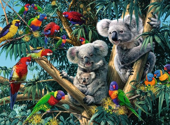 Een koala met baby in boom, omringd door kleurrijke papegaaien en groen gebladerte.