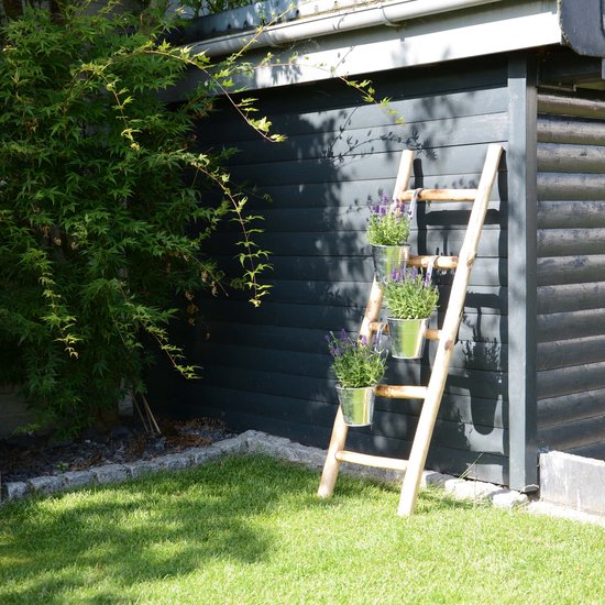 Houten decoratieve ladder met drie zilveren potten met lavendel, staand tegen een donker schuurtje.