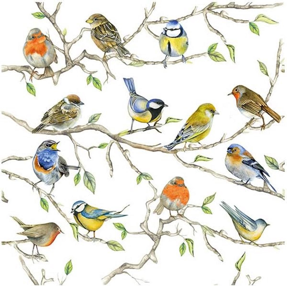 Setdecoratieve Servetten met Levendige Vogels