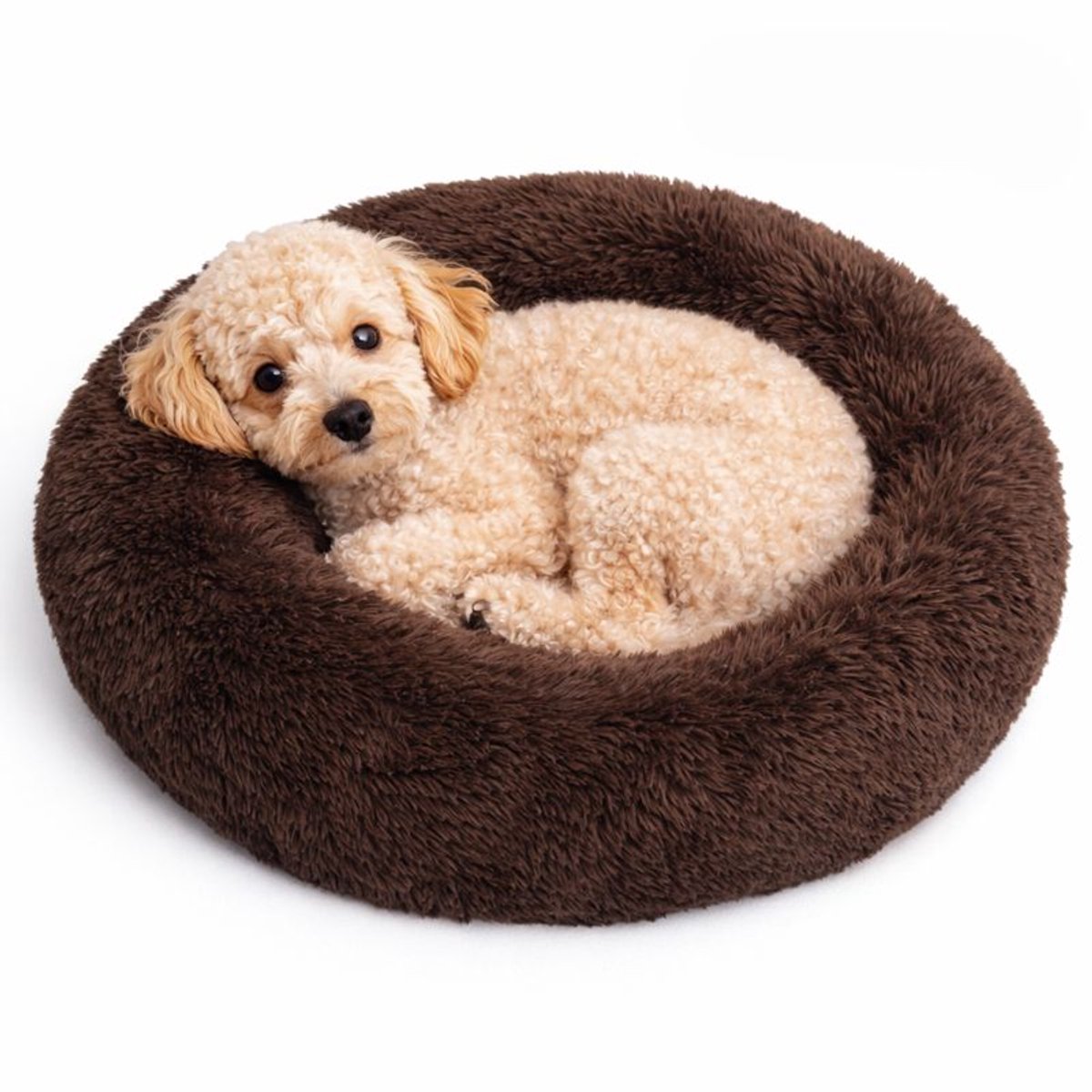 Bol.com Dailyibed hondenmand - donut - hondenkussen - hondenbed - XXL - 80x80x16 cm - Donkerbruin aanbieding