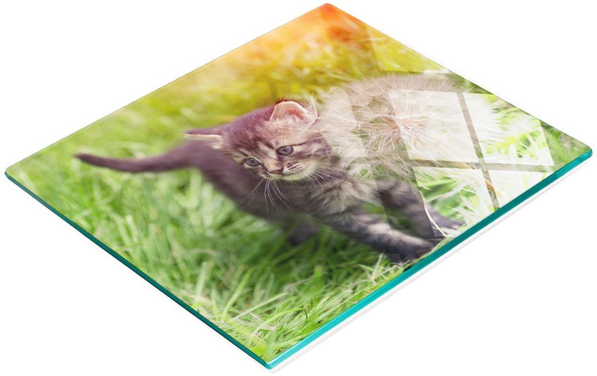 Glazen serveerplank met katten- en paardenbloemmotief, 60x52 cm