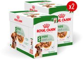 Royal Canin Mini Adult in Gravy - Hondenvoer - 24x85g - Volwassen klein ras