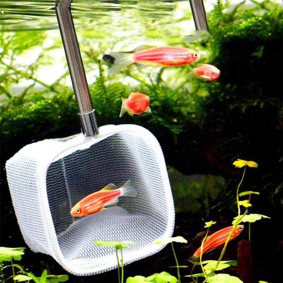 Aquarium Schepnet - Visnet Telescopisch - Vissen Vangen - Uittrekbaar Ontwerp - 20-56.5cm - Groen — afbeelding 5