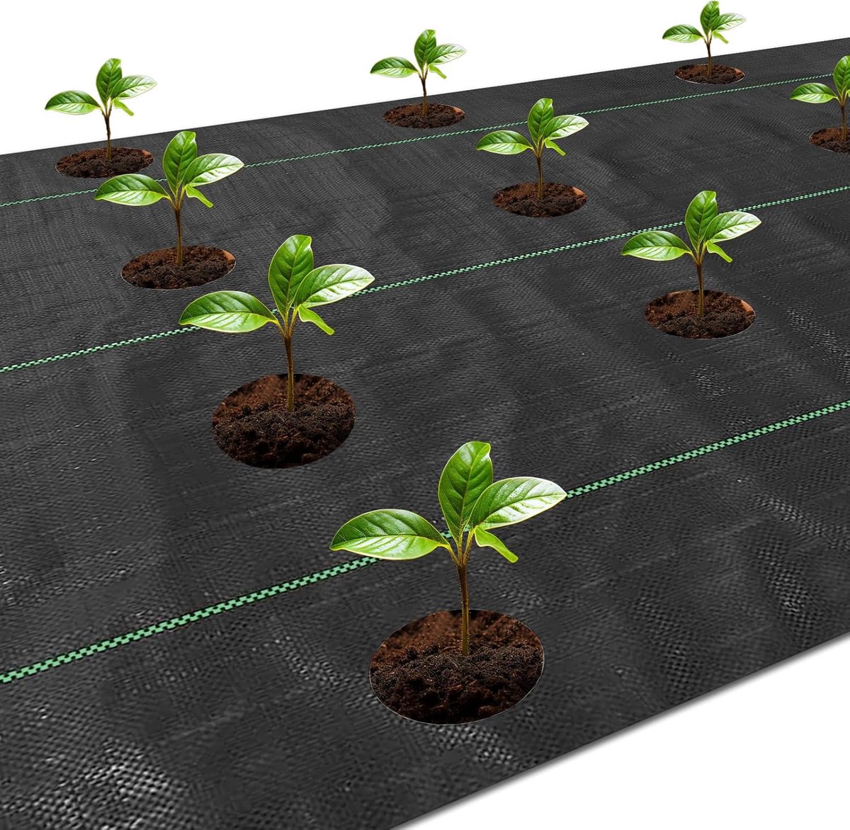Onkruidbarrière stof - Tuinmat bodembedekker - Onkruid blokkeren - Ademend en waterdoorlatend - 3.6 meter lang - Zwart