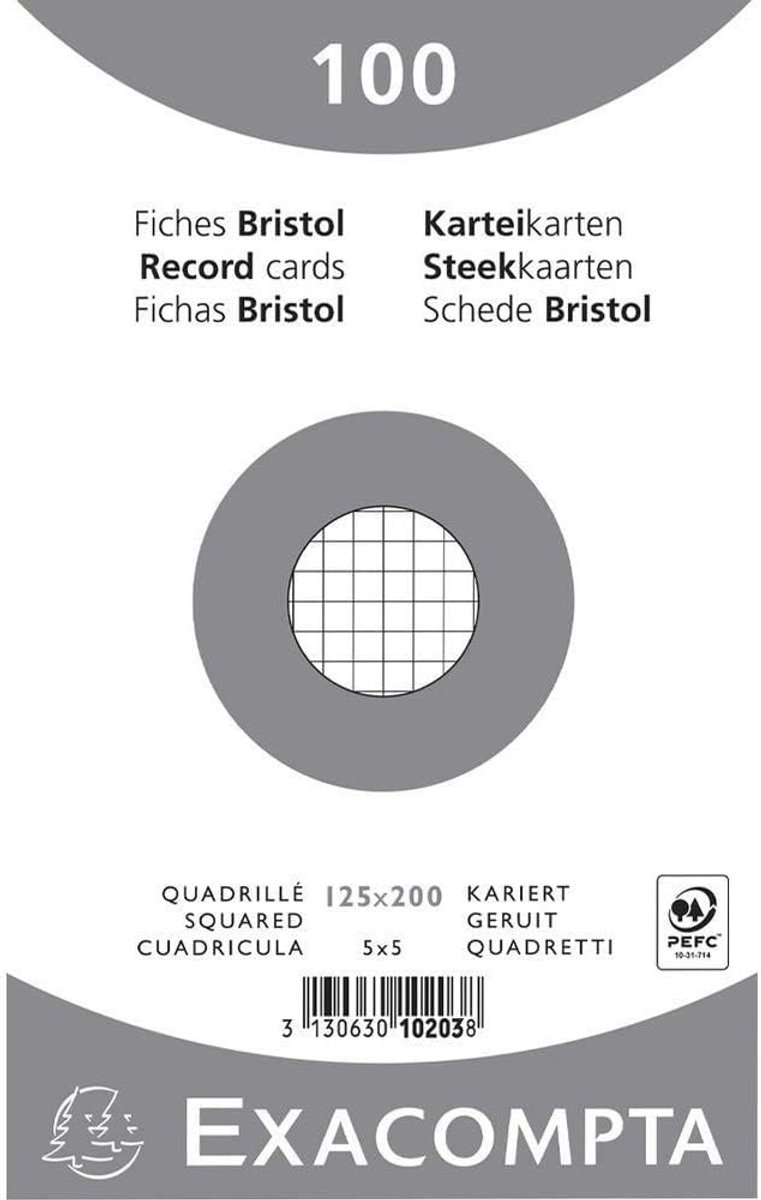 Indexkaarten Geruit - Notitiekaarten Notitieblok - Organiseren Leren - 40 Verpakkingen 100 Stuks - 74 x 105 mm - Wit