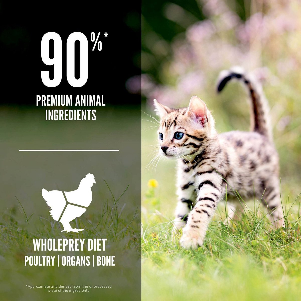Orijen Kitten - Premium Voeding thumbnail 3