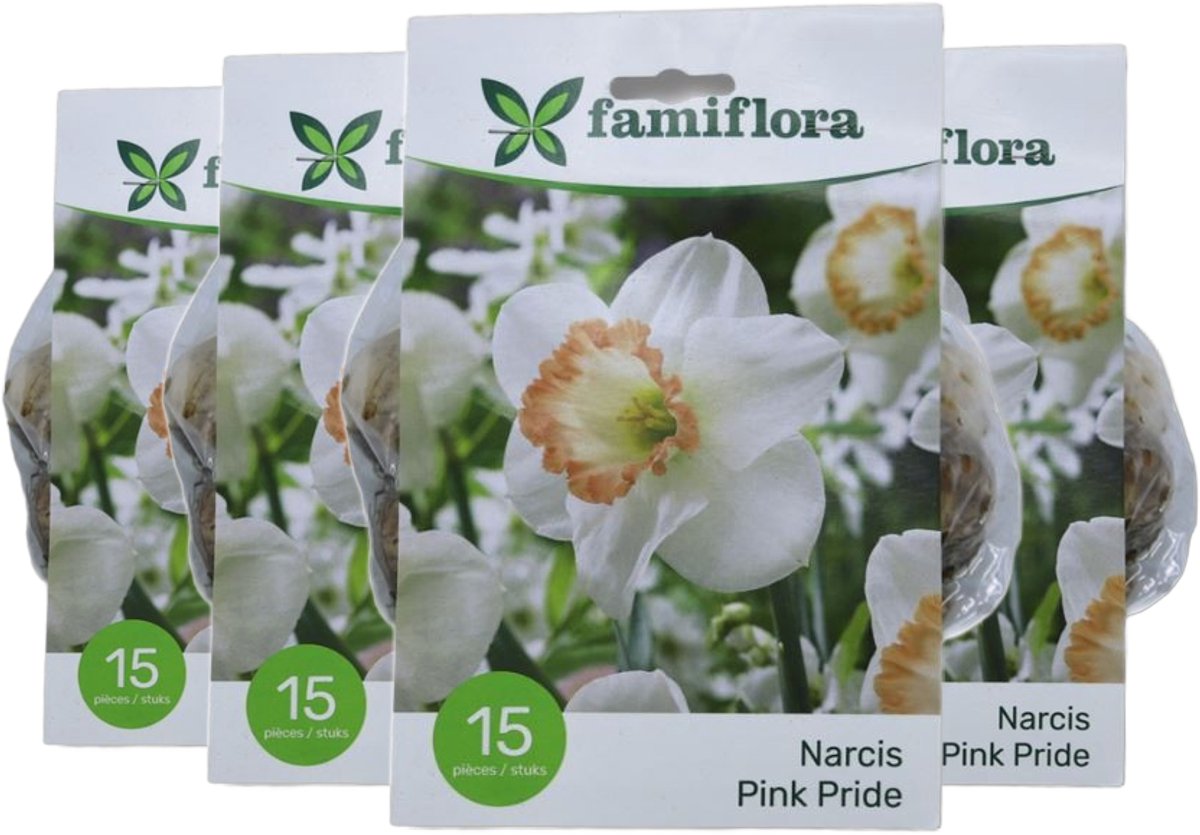 Famiflora Narcis Pink Pride 4 x 15 - 60 bloembollen - Roze bloemen brengen optimisme en vrolijkheid voor een opgewekte tuin - Symboliseert lente en groei waardoor je tuin energie krijgt