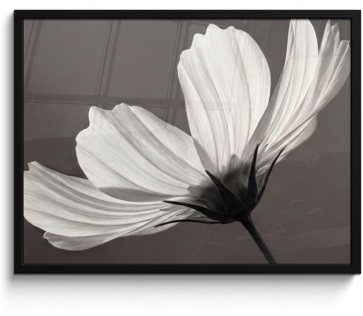 FrameYourWall Poster in lijst - Fotolijst 80x60 cm - Posters - Bloem - Minimalistisch - Zwart - Wit - Posterlijst zwart - Decoratie - Wanddecoratie woonkamer - Muurdecoratie slaapkamer