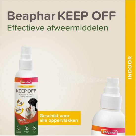 Kruidenthee met kattenkruid voor katten - Interieur Trends Online